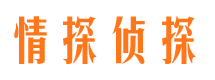 宁德市侦探公司